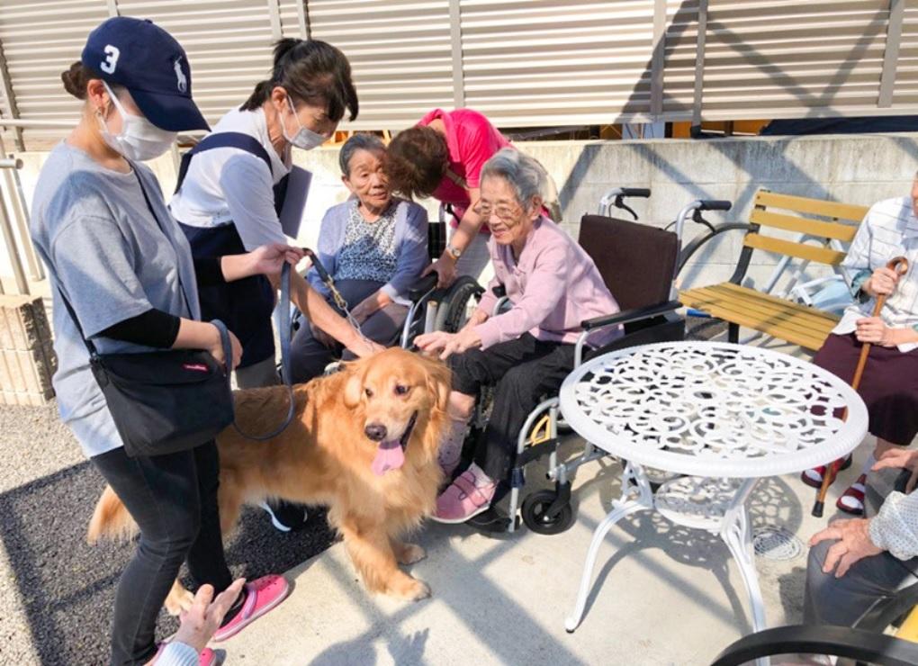 メディカル・ケア・サービス（学研グループ）|＜春日部市＞愛の家グループホーム春日部一ノ割　夜勤_介護職員正社員（夜勤メイン／経験者の方）