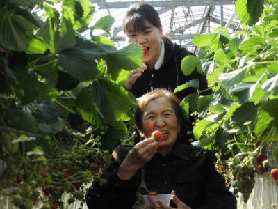 株式会社エクセレントケアシステム （エクセレントグループ）|エクセレント平塚