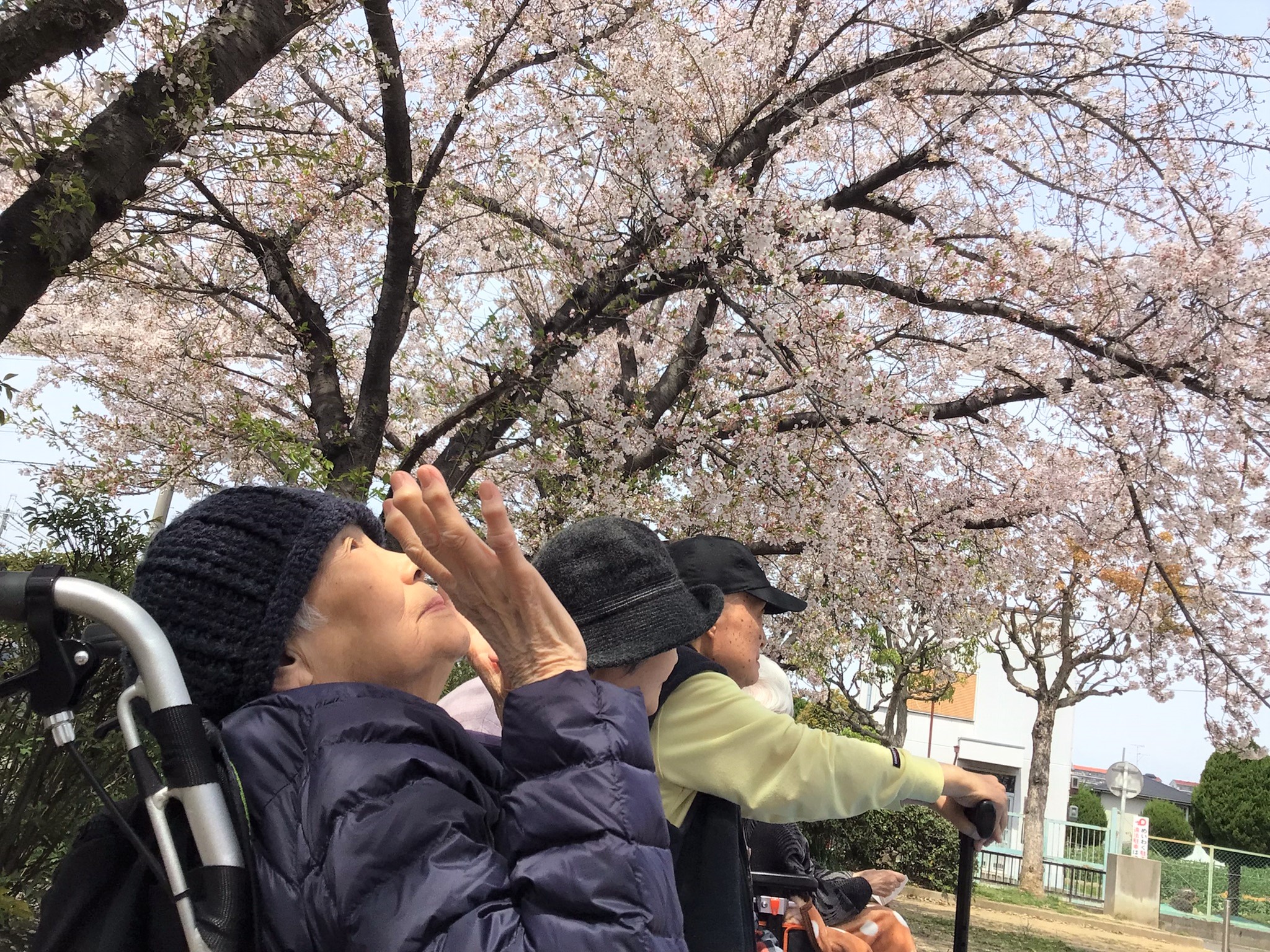 有限会社さざなみ／グループホームさざなみ大池橋