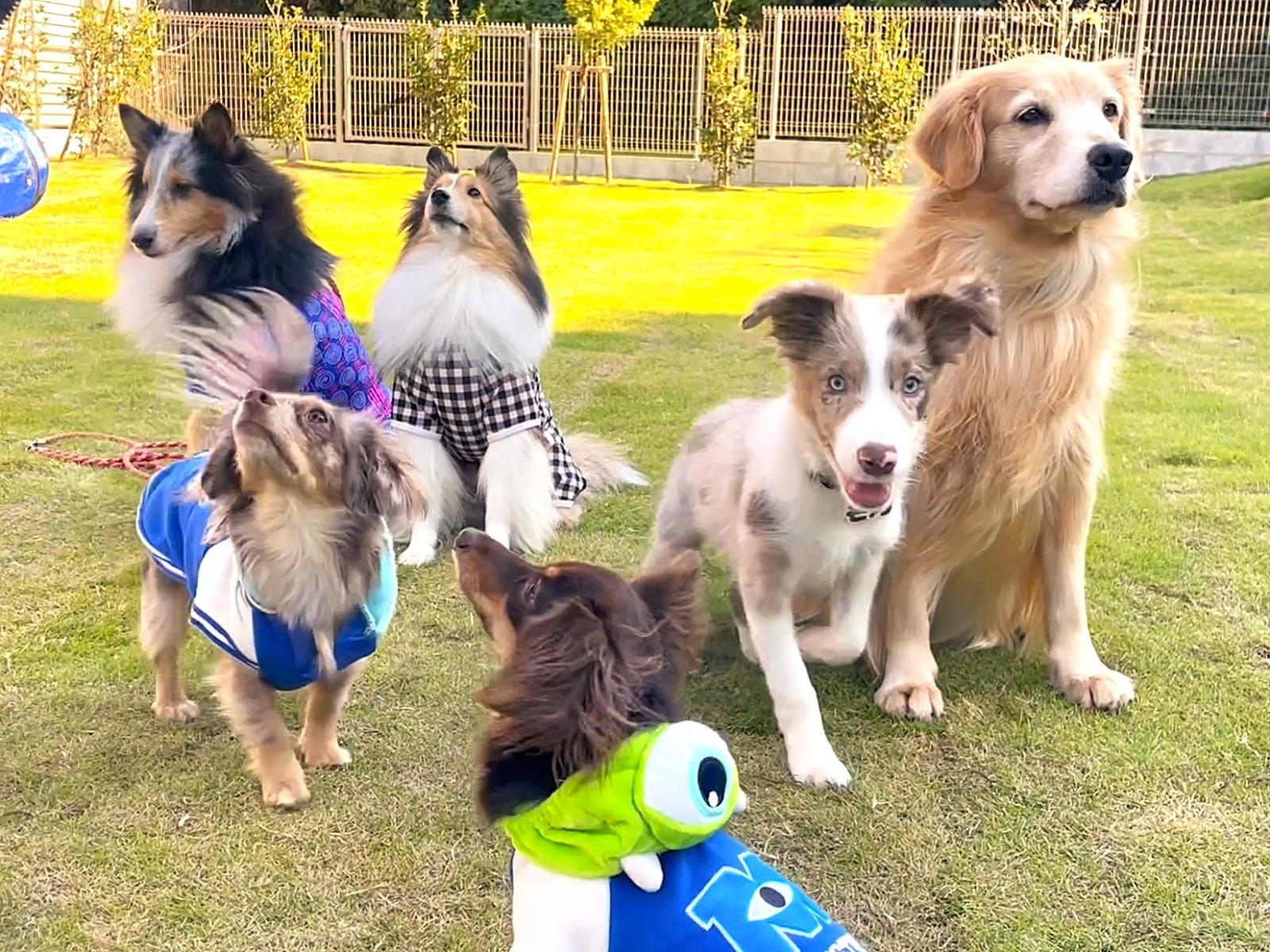 社会福祉法人きらめき会|横浜旭いこいの里