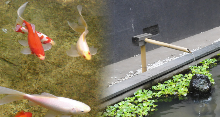 医療法人社団 神緑会／介護老人保健施設　アクアピア新百合