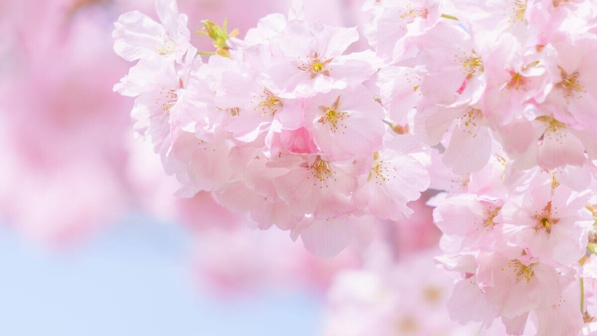 色彩福祉検定とはどんな資格？試験の概要や取得方法、介護の仕事への活かし方を解説！