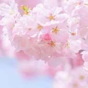 色彩福祉検定とはどんな資格？試験の概要や取得方法、介護の仕事への活かし方を解説！